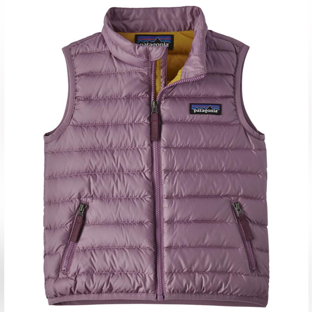 Patagonia Down Sweater Vest